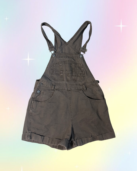 Y2k No Boundaries Brown Overall Shorts